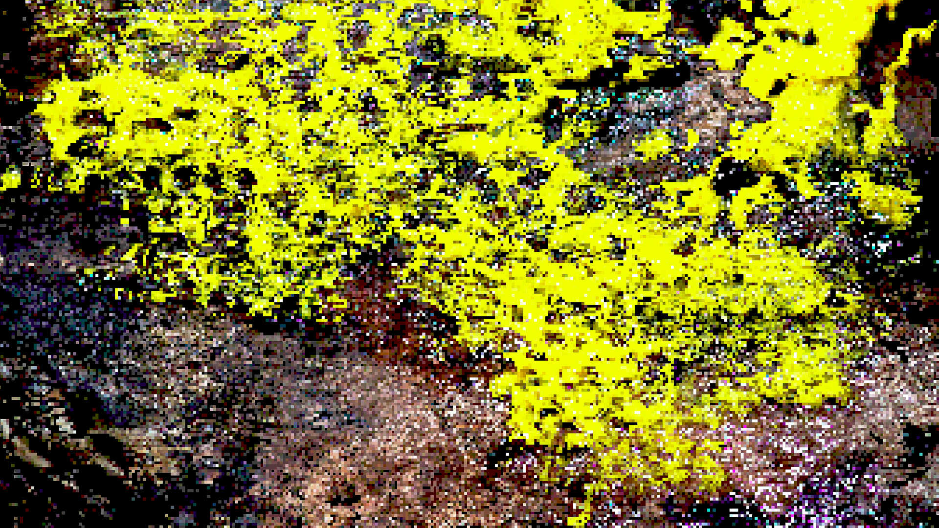 A pixelated image of what appears to be digital slime mould growing over a surface, from Patrick Hase & Asher Elazary's Object Animacy