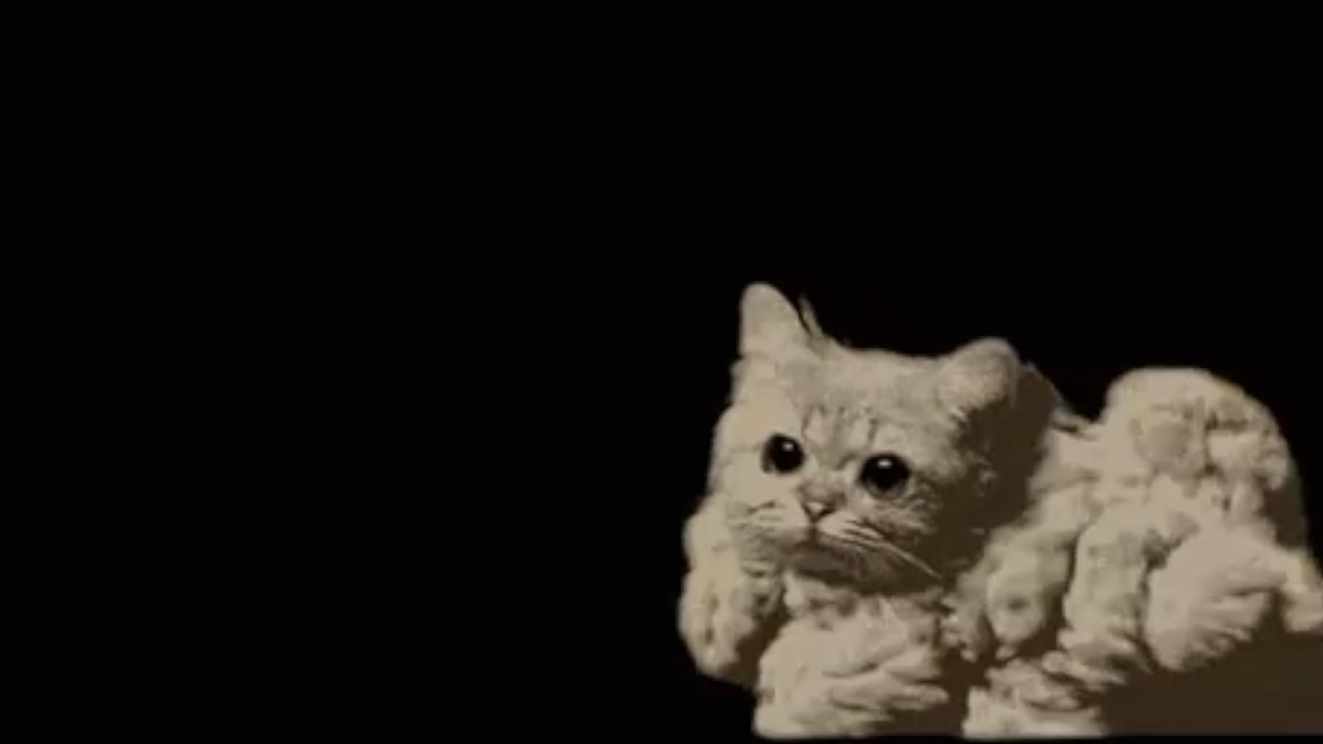 Still of a cat in blurred movement from doktorb's Ultimate Cringe Compilation