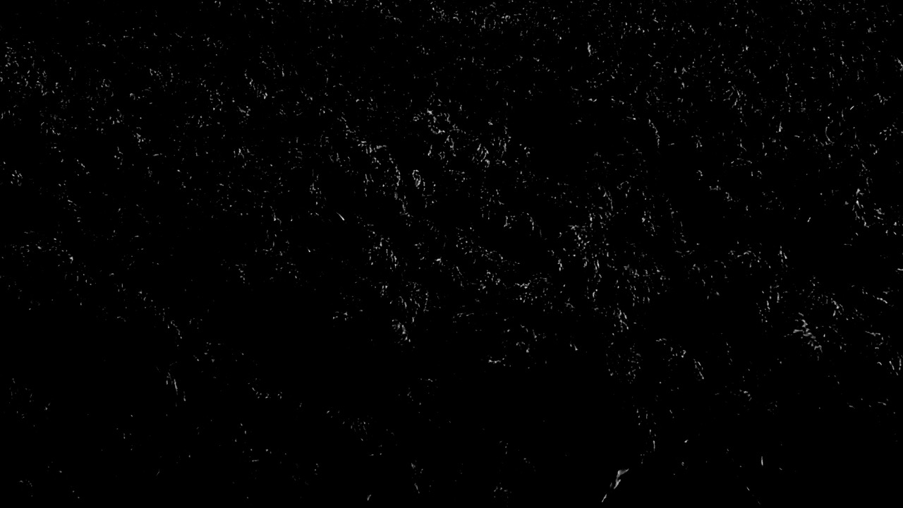 Still of mysterious white detail on black from Amy Hanley's Bloom: We're Going to Die